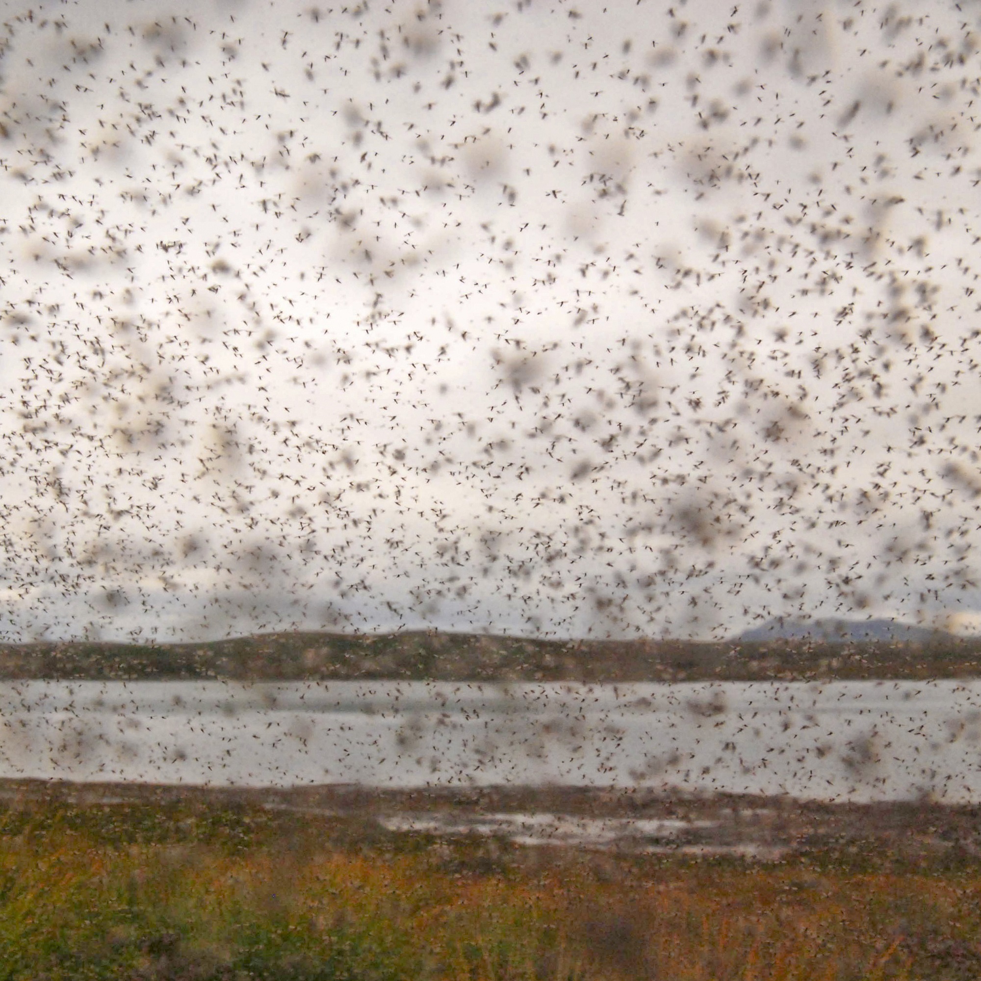 ‘I’m hoping for sun … and midges!’ | National Trust for Scotland