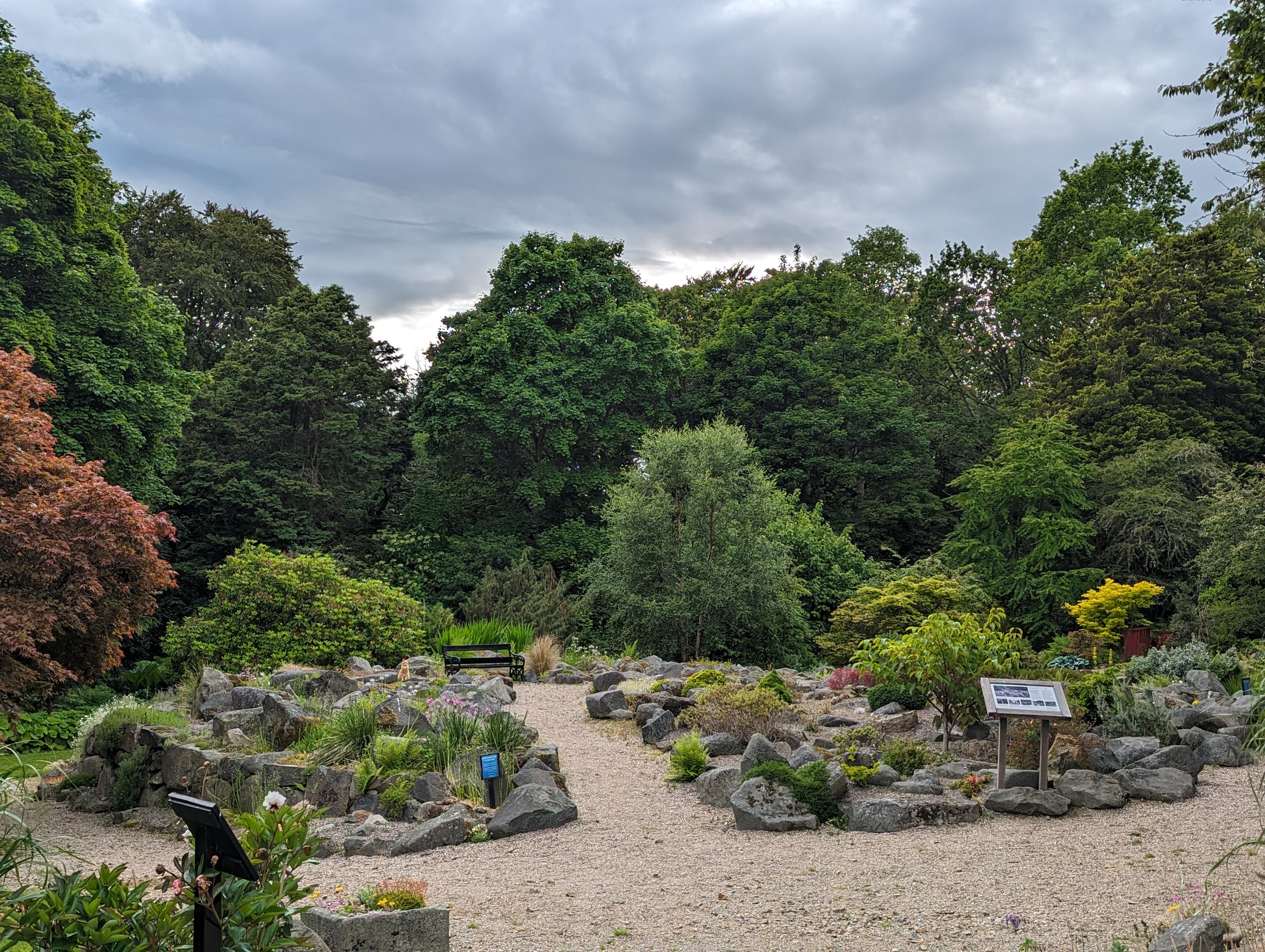 The PLANTS project: Leith Hall’s Rock… | National Trust for Scotland