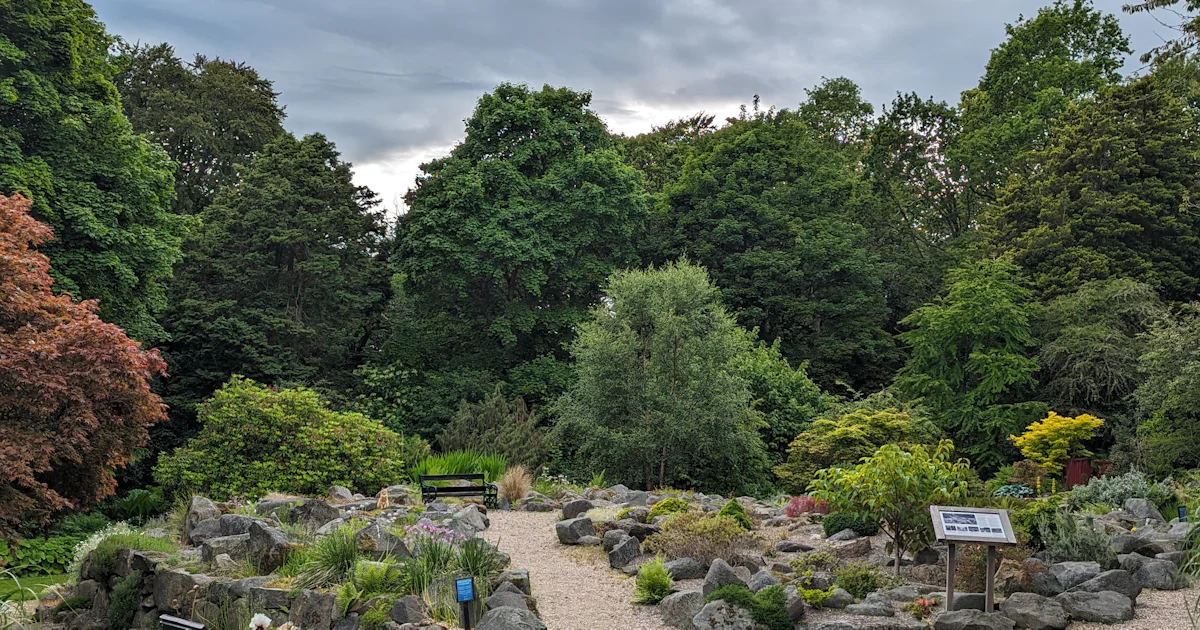 Roth Hall Rocks The PLANTS project: Leith Hall’s Rock… | National Trust for Scotland
