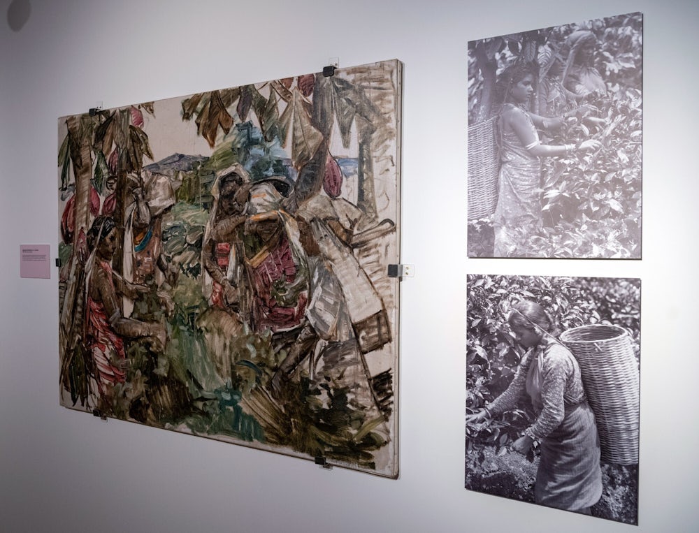 A white wall with an unframed painting. The painting shows five women almost full length in a green landscape, picking tea. Next to the painting are reproductions of two black and white photos showing women in the same poses as in the painting.