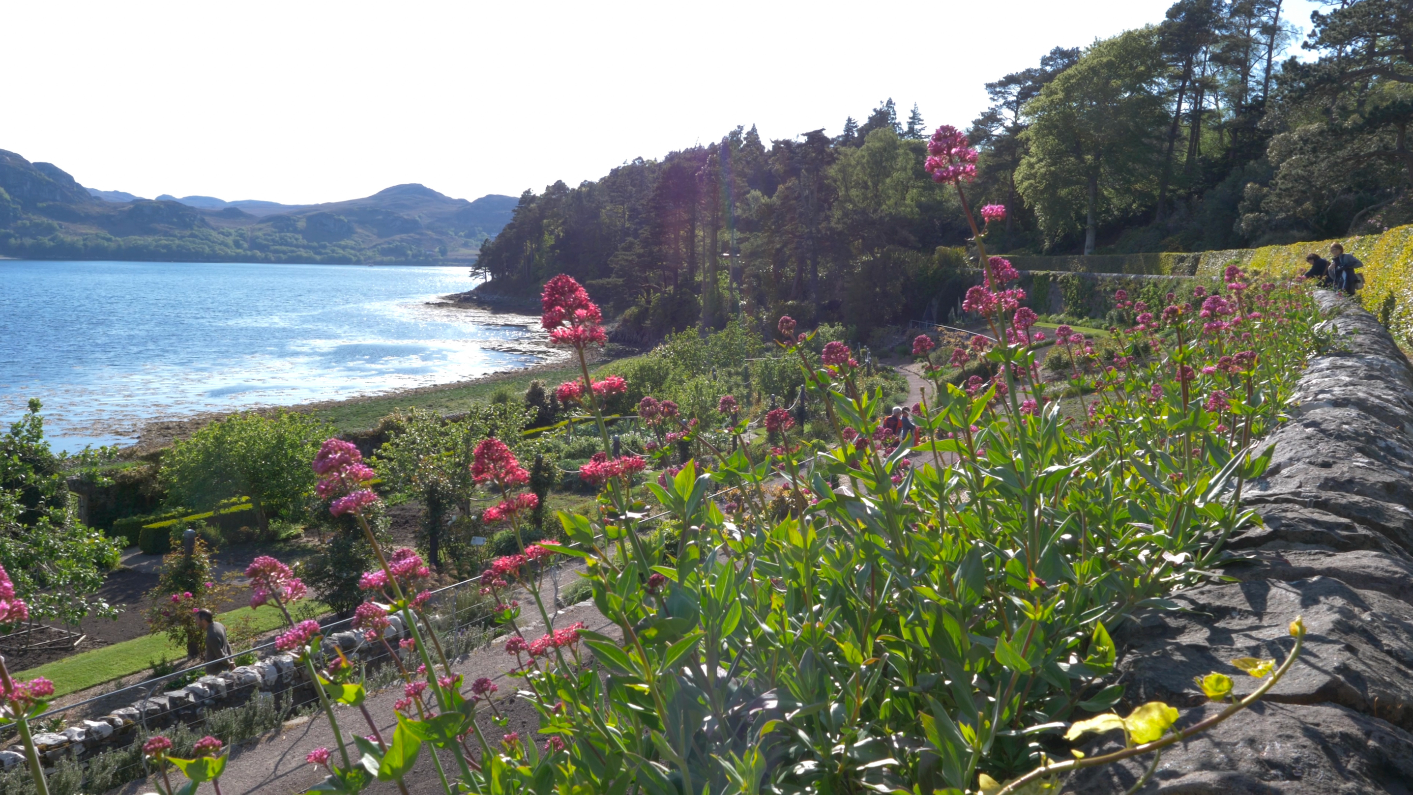 The walled garden at Inverewe