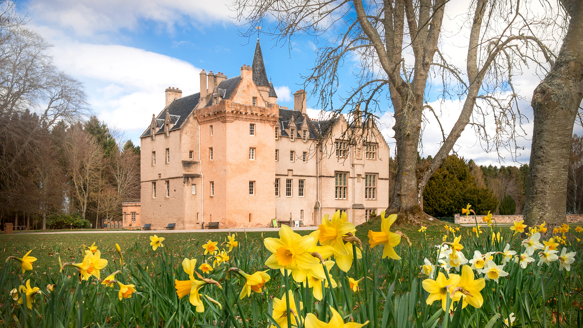 Brodie Castle in spring with daffodils